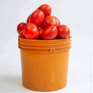 UTC Tomato (A Custard)