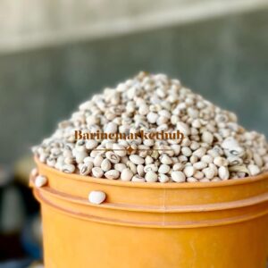 Potasco Beans (A Rubber)