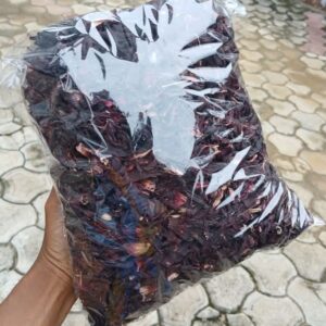 Zobo leave ( A Rubber)