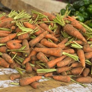 Carrot (6kg)